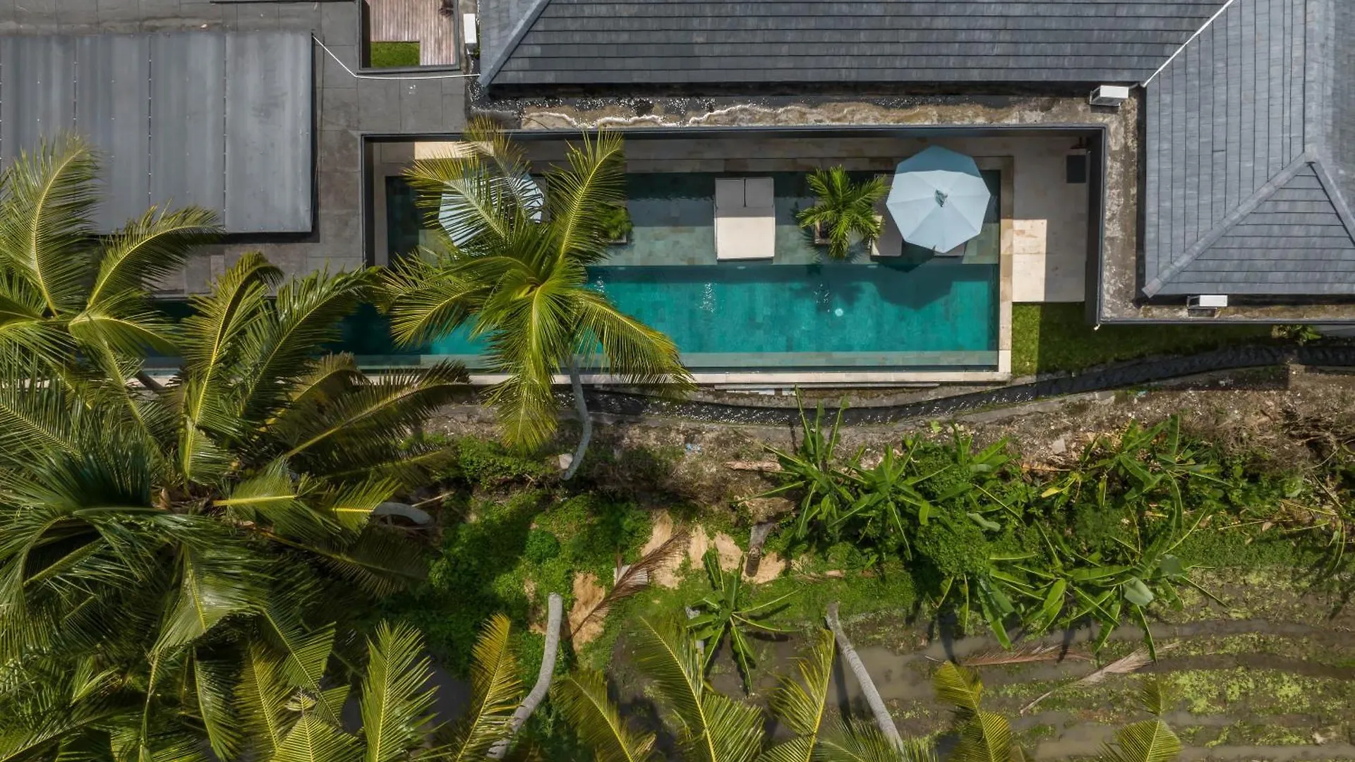 Villa Surga - 4Br Heavenly Ricefields View Villa In Ubud